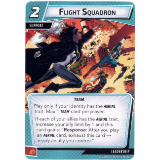 Flight Squadron
